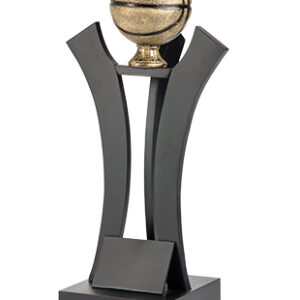 Trofeo Basquetbol Serie 302