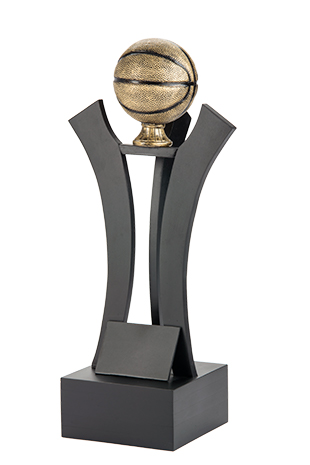Trofeo Basquetbol Serie 302