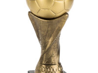 Trofeo Fútbol Serie 300