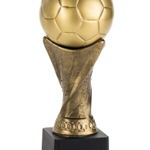 Trofeo Fútbol Serie 300