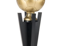 Trofeo Fútbol Serie 301