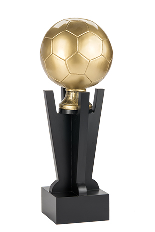 Trofeo Fútbol Serie 301