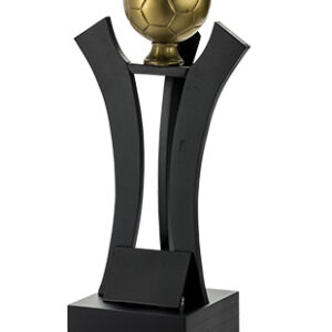 Trofeo Futbol Serie 302