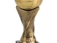 Trofeo Voleibol Serie 300