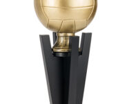 Trofeo Voleibol Serie 301