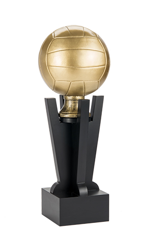Trofeo Voleibol Serie 301