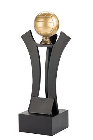 Trofeo Voleibol Serie 302