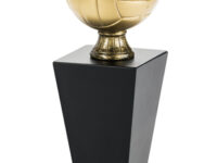 Trofeo Voleibol Serie 303A