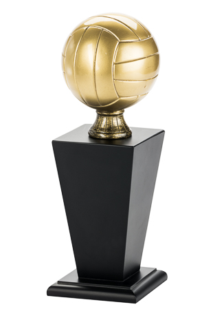 Trofeo Voleibol Serie 303A