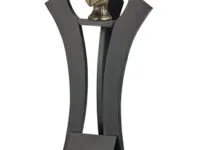 Trofeo Fútbol Americano Serie 302