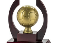 Trofeo Futbol Serie 305 A