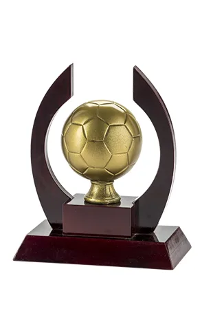 Trofeo Fútbol Serie 305A