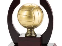 Trofeo Voleibol Serie 305A
