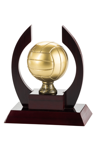 Trofeo Voleibol Serie 305 A