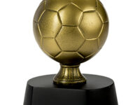 Trofeo Futbol Serie 306