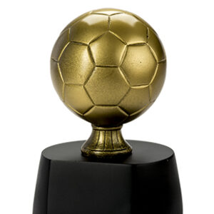Trofeo Futbol Serie 306