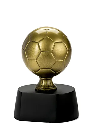 Trofeo Fútbol Serie 306