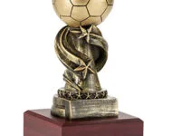 Trofeo Fútbol Serie 307A