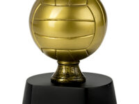 Trofeo Voleibol Serie 306