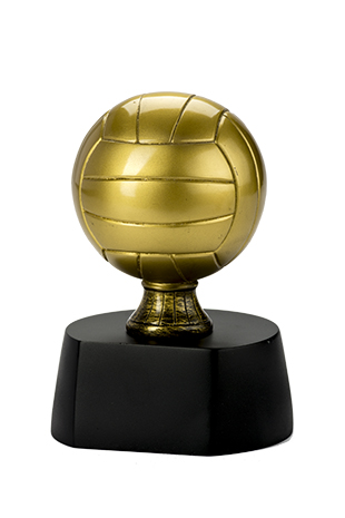 Trofeo Voleibol Serie 306