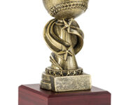 Trofeo Beisbol Serie 307A