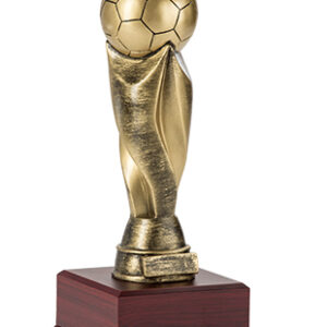 Trofeo Futbol Serie 307A