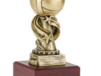 Trofeo Voleibol Serie 307A