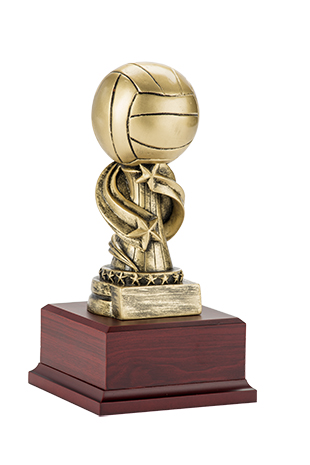 Trofeo Voleibol Serie 307A