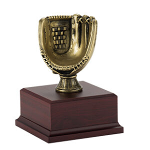 Trofeo Serie 307D Beisbol