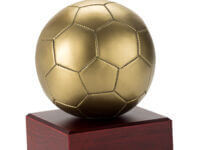 Trofeo Serie 307C Futbol