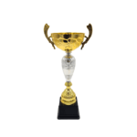 Copa ItalMex 24-601