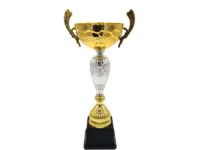 Copa ItalMex 24-601