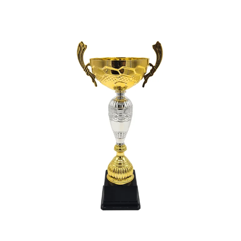 Copa ItalMex 24-601