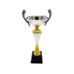 Copa ItalMex 24-602