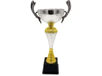 Copa ItalMex 24-602