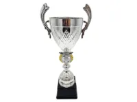 Copa ItalMex 24- 603