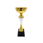 Copa ItalMex 24-605
