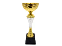 Copa ItalMex 24-605