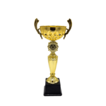 Copa ItalMex 24-609