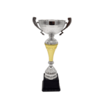 Copa ItalMex 24-610