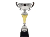 Copa ItalMex 24-610