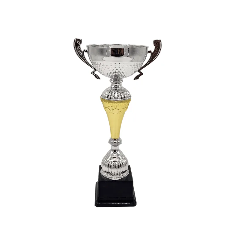 Copa ItalMex 24-610