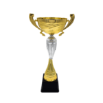 Copa ItalMex 24-611