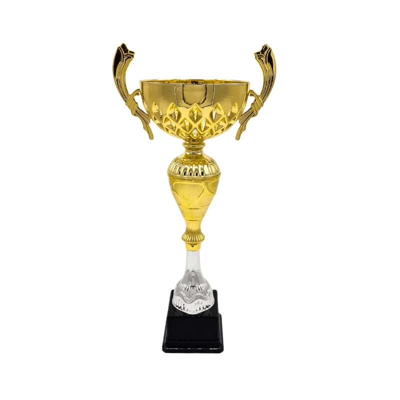 Copa ItalMex 24- 613