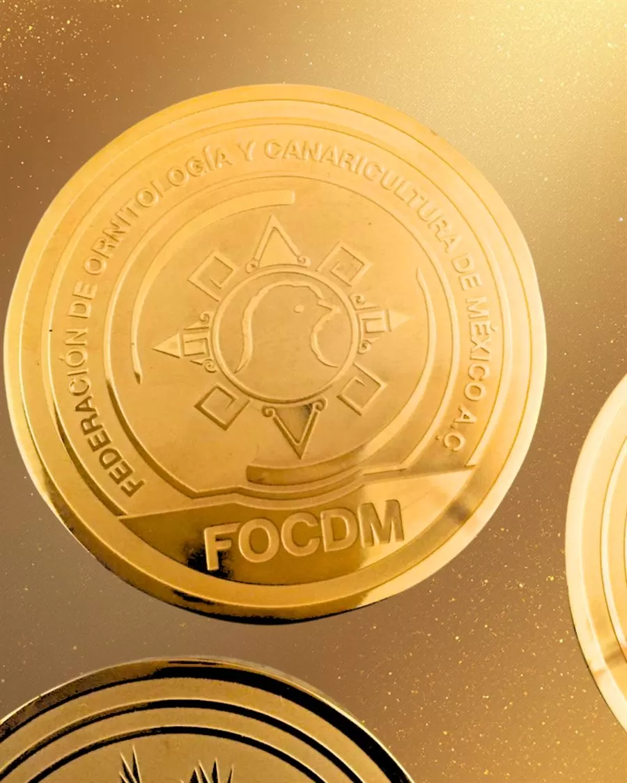 Moneda conmemorativa dorada por Alpuerta